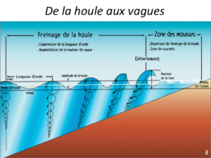 Le Manuel Du Surf, Part Two : De La Houle Aux Vagues Et Le Vent ...