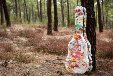 une guitare devant un arbre dans la foret à lacanau